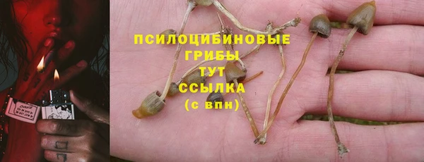 винт Медвежьегорск