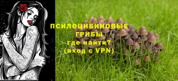 дживик Мегион