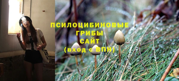 винт Медвежьегорск