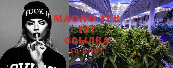дживик Мегион