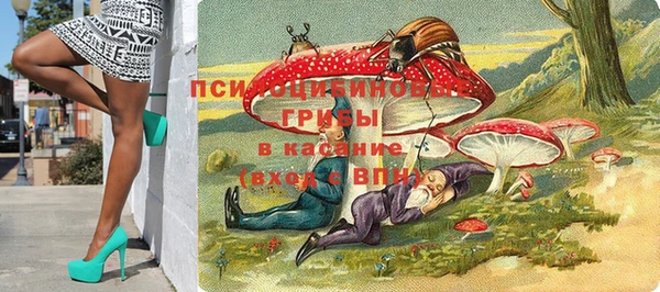винт Медвежьегорск