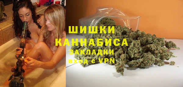 дживик Мегион
