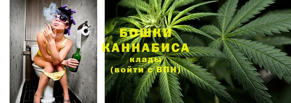 дживик Мегион