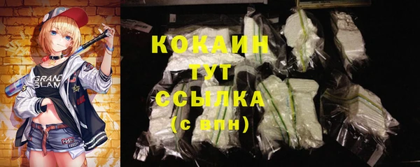 дживик Мегион