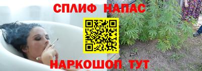 PSILOCYBIN Беслан