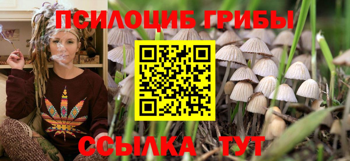 сколько стоит  Псилоцибиновые грибы прущие грибы  Вход с VPN  Кемерово 