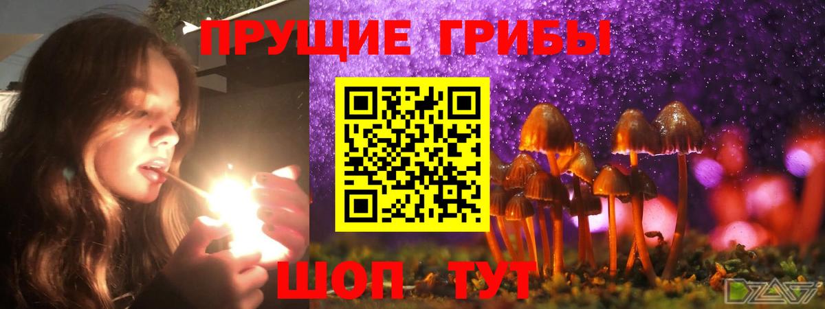 Псилоцибиновые грибы прущие грибы Кемерово