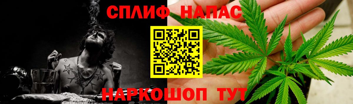 Бошки марихуана семена Кемерово